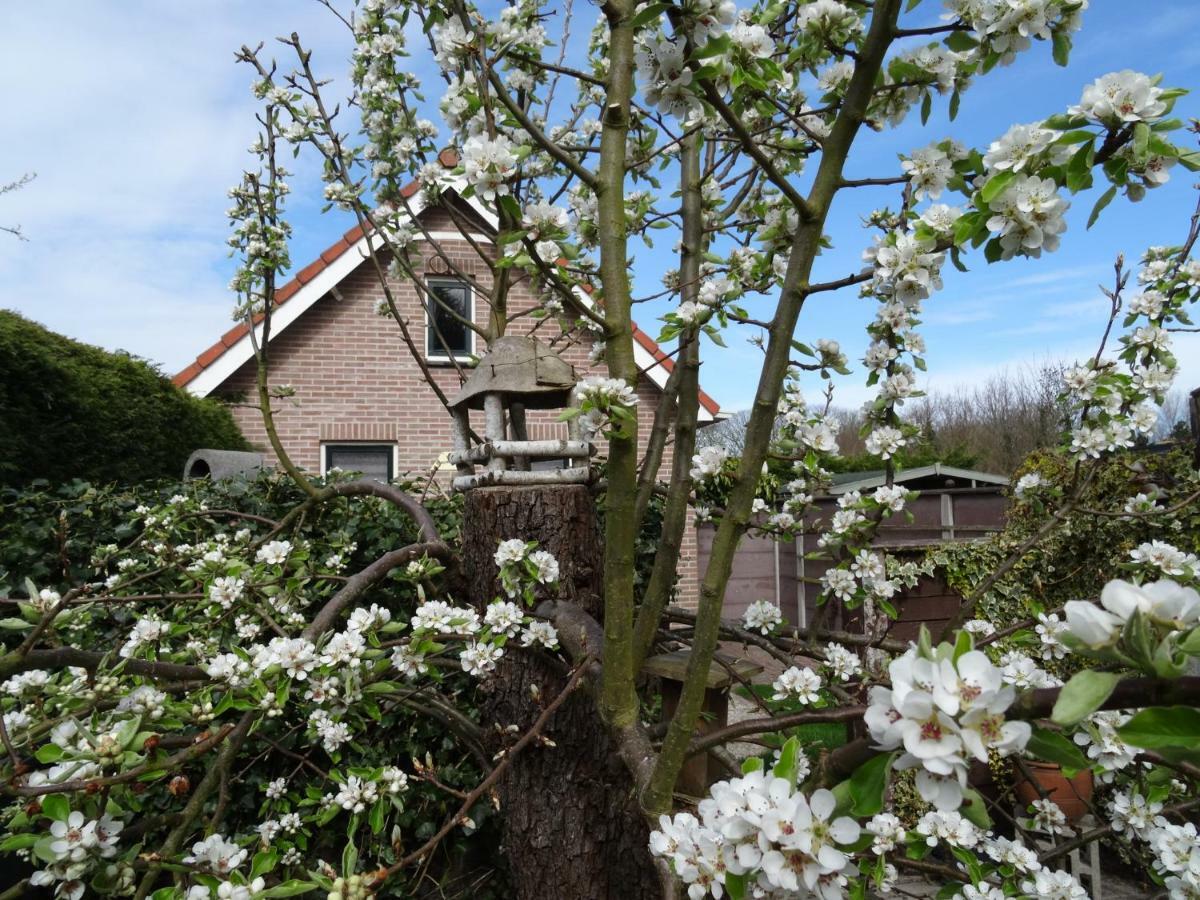 Het Pronkje Casa vacanze Renesse